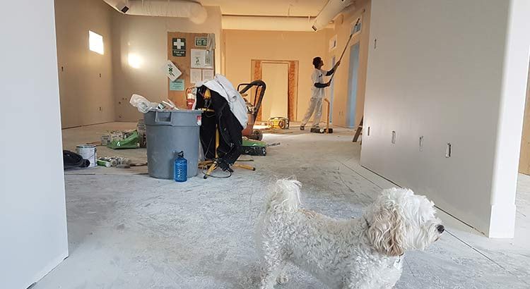 d&eacute;couvrez comment choisir la meilleure entreprise de r&eacute;novation pour vos projets et garantir qualit&eacute;, conseil et satisfaction.